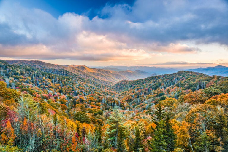 Top 10 Things To Do In Great Smoky Mountains National Park (2022)