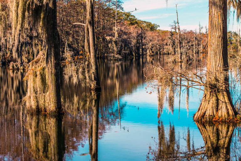 National Parks In Louisiana What To See In 2024