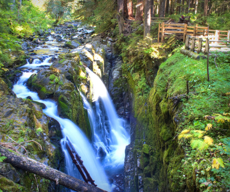 The Best Free And Paid Camping In Olympic National Park