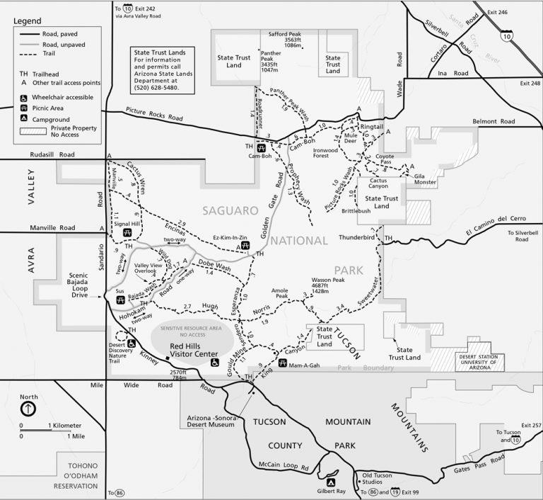 10 Best Hiking Trails In Saguaro National Park With Maps Parked In Paradise 9348